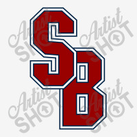 Stony. Brook. Seawolves. Wordmark. Classic T-shirt | Artistshot