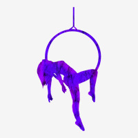 Hanging Aerialist Aerial Hoop Silk Circus Lyra Tra Adjustable Cap | Artistshot