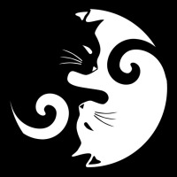 Ying Yang Cats   Black & White Lightweight Hoodie | Artistshot