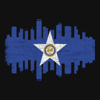 Limited Edition Houston City Flag Skyline Vintage Graphic Youth T-shirt | Artistshot