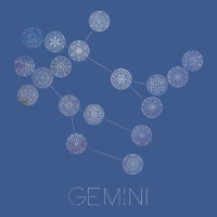 Gemini Constellation Mandalas Summer Champion Hoodie | Artistshot