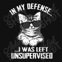 In My Defense I Was Left Unsupervised Cat Lover Graphic Youth T-shirt | Artistshot