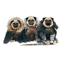 Pug Of Thrones Men's T-shirt Pajama Set | Artistshot