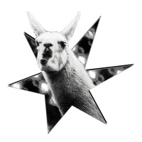 Star Llama No Text Black And White V-neck Tee | Artistshot