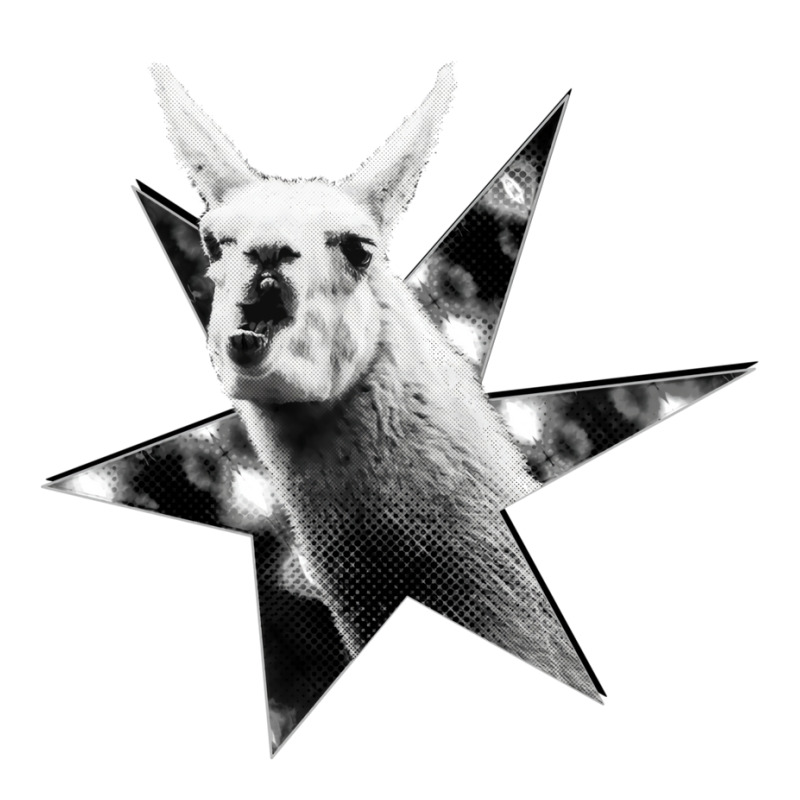 Star Llama No Text Black And White V-Neck Tee by jagvirrietb | Artistshot