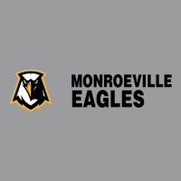 Monroeville High School Classic T-shirt | Artistshot