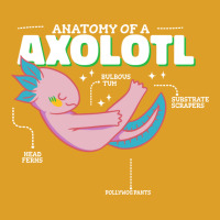 Anatomy Of Axolotl Retro T-shirt | Artistshot