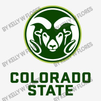 Colorado State Graphic Youth T-shirt | Artistshot