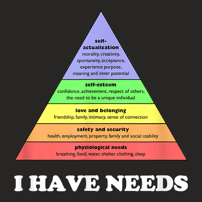 I Have Needs   Funny Maslow's Hierarchy Of Needs P Ladies Fitted T-Shirt by tamicam | Artistshot