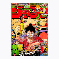 One Piece 5 T-shirt | Artistshot