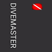 Divemaster Vintage Short | Artistshot