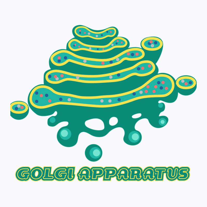 Golgi Apparatus Cell Biology Science 1 T-shirt | Artistshot