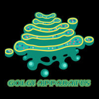 Golgi Apparatus Cell Biology Science 1 Kids Cap | Artistshot