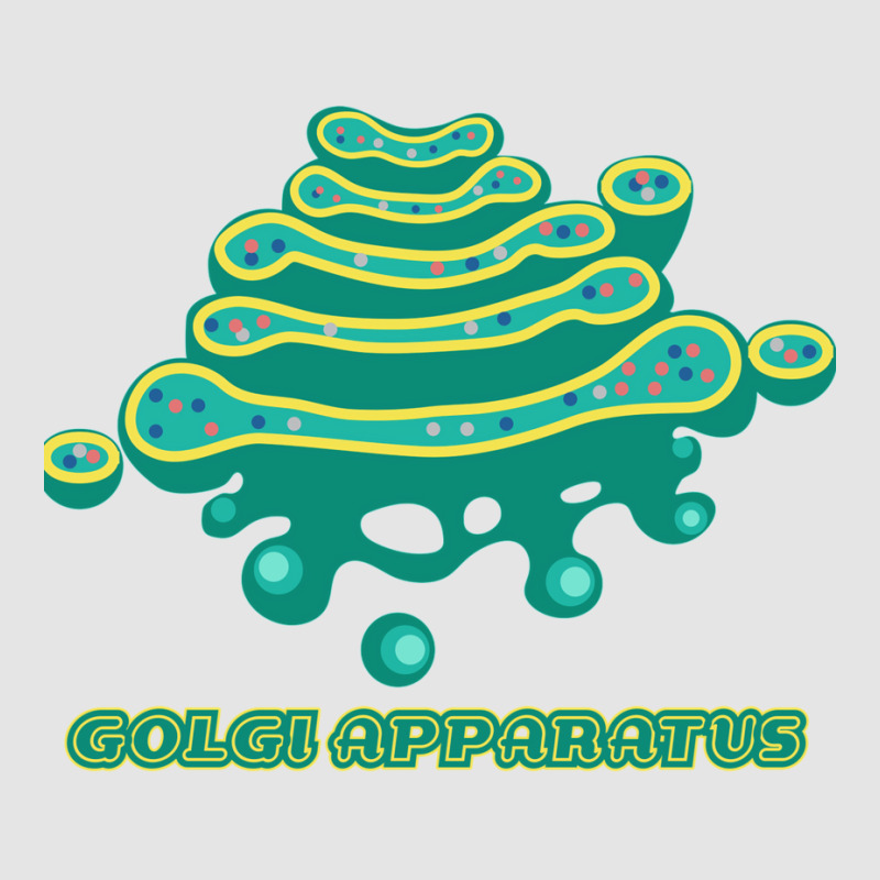 Golgi Apparatus Cell Biology Science 1 Exclusive T-shirt | Artistshot