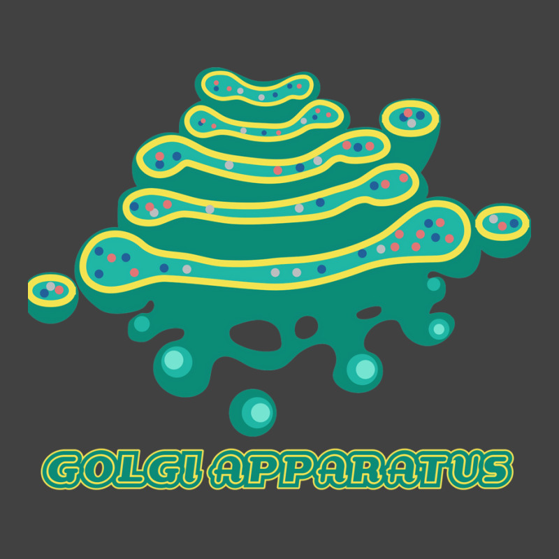 Golgi Apparatus Cell Biology Science 1 Vintage T-shirt | Artistshot