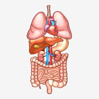 Halloween T Shirt Internal Organ Diagram Anatomy Adjustable Cap | Artistshot