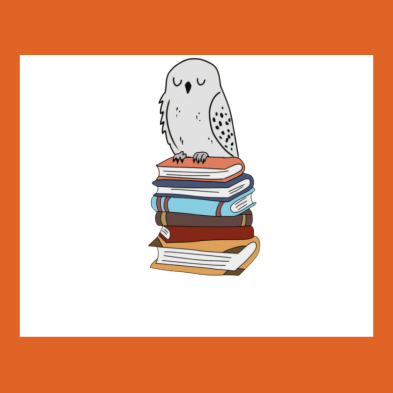 Magic Owl On Books 29 Unisex Hoodie by koromaqazit | Artistshot