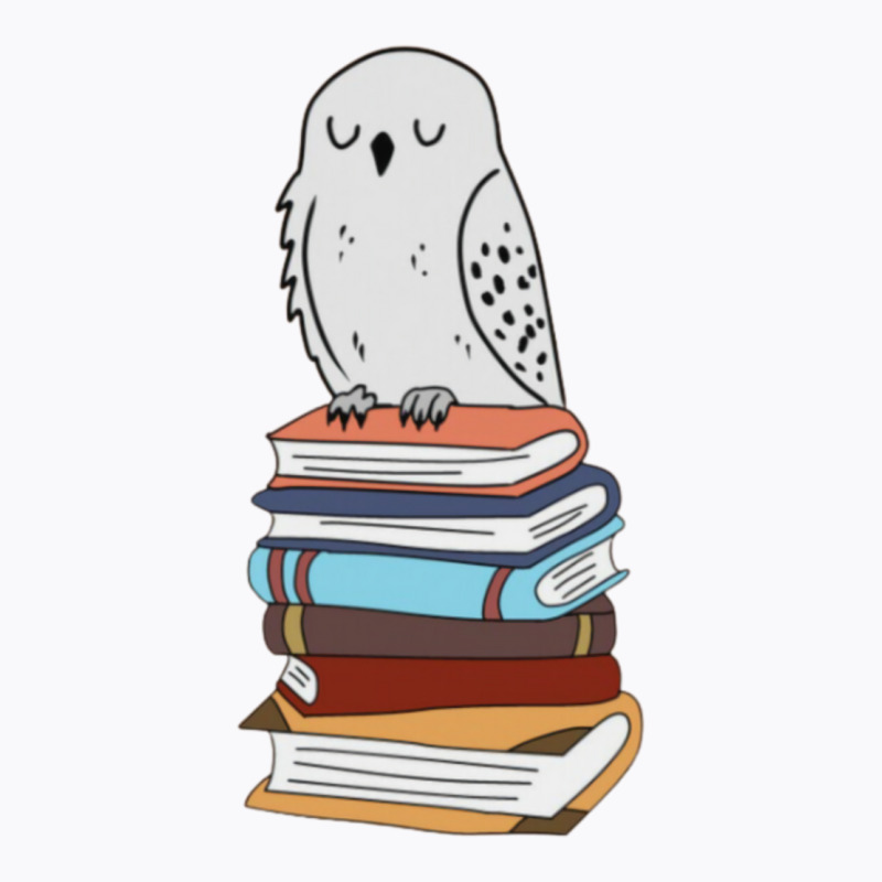 Magic Owl On Books 3 T-Shirt by didwaycarw | Artistshot