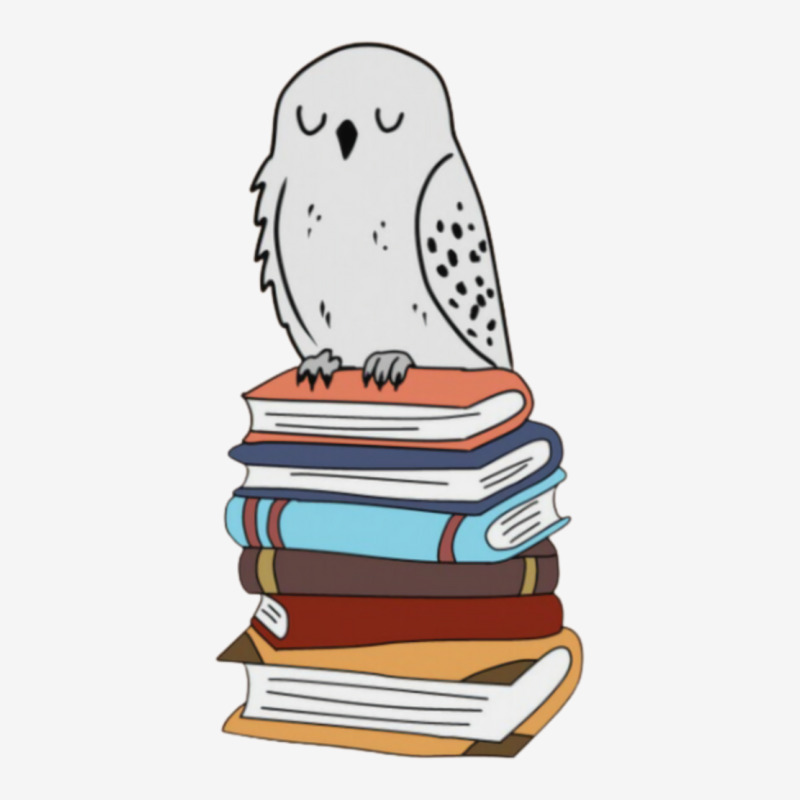 Magic Owl On Books 3 Graphic T-shirt by didwaycarw | Artistshot