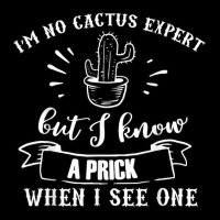 I'm No Cactus Expert But I Know A Prick When I See V-neck Tee | Artistshot