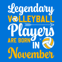 Legendary Volleyball Players Are Born In November Graphic T-shirt | Artistshot