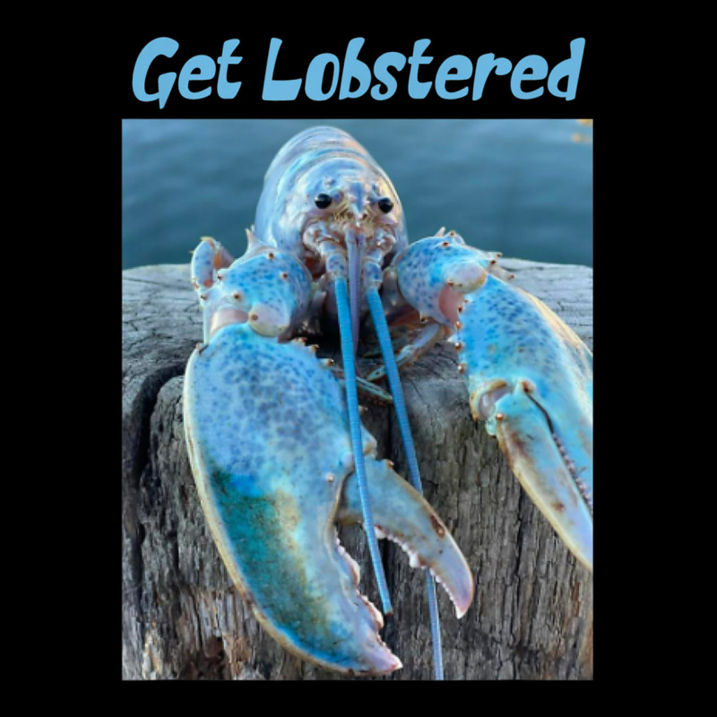 Funny Jumpscare Lobster Meme Blue Crustacean Youth Hoodie | Artistshot