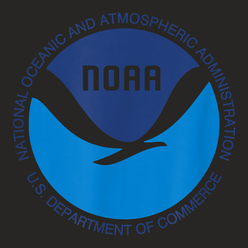 Noaa National Oceanic And Atmospheric Administrati Ladies Fitted T-Shirt by validokel | Artistshot