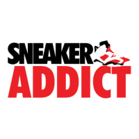 Sneaker Addict J6 Carmines Unisex Hoodie | Artistshot