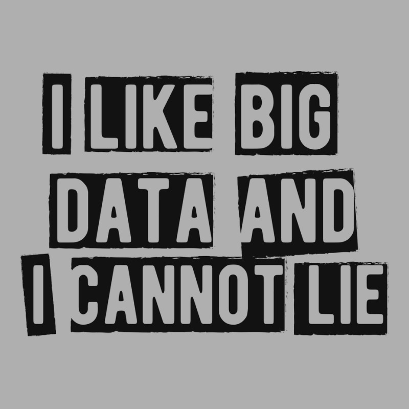 Data Analyst I Like Big Data And Cannot Lie Ladies Fitted T-Shirt by lecroysuirek | Artistshot