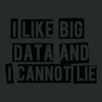 Data Analyst I Like Big Data And Cannot Lie Women's Triblend Scoop T-shirt | Artistshot