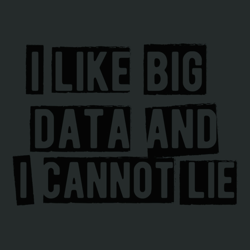 Data Analyst I Like Big Data And Cannot Lie Women's Triblend Scoop T-shirt by lecroysuirek | Artistshot