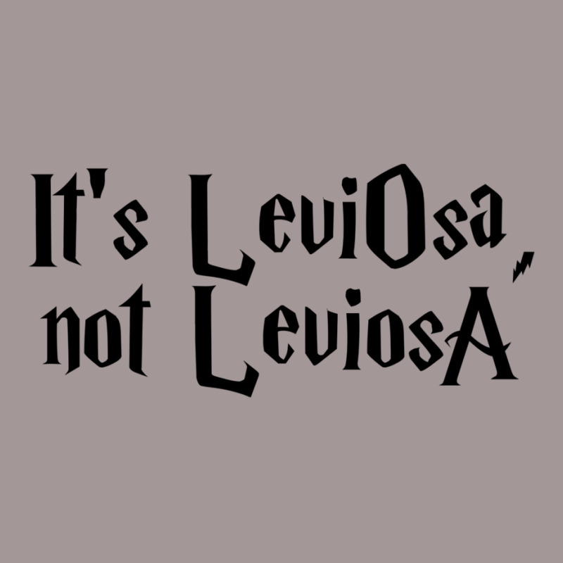 It Is Leviosa11 Vintage Hoodie by aldenmunnisd | Artistshot