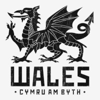 Wales Flag Welsh Dragon Baner Cymru Am Byth Welshm Graphic T-shirt | Artistshot