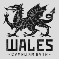 Wales Flag Welsh Dragon Baner Cymru Am Byth Welshm Men's Polo Shirt | Artistshot