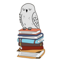 Magic Owl On Books 32 V-neck Tee | Artistshot