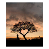 Tree And Heart Crop Top | Artistshot