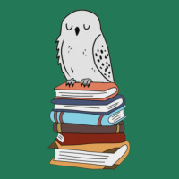 Magic Owl On Books 16 Ladies Fitted T-shirt | Artistshot