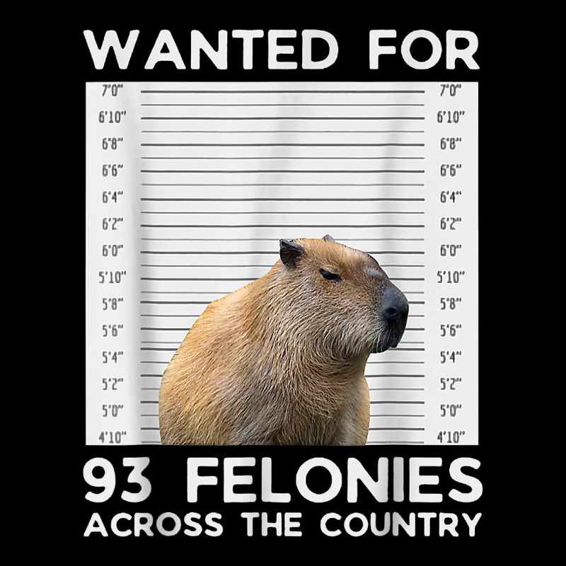 Capybara Mugshot Wanted For 93 Felonies Across The Men's 3/4 Sleeve Pajama Set | Artistshot