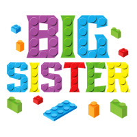 Big Sister Master Builder Building Bricks Blocks F Youth Zipper Hoodie | Artistshot