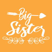 Big Sister Big Sister Reveal Cute Zipper Hoodie | Artistshot