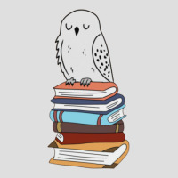 Magic Owl On Books 10 V-neck Tee | Artistshot