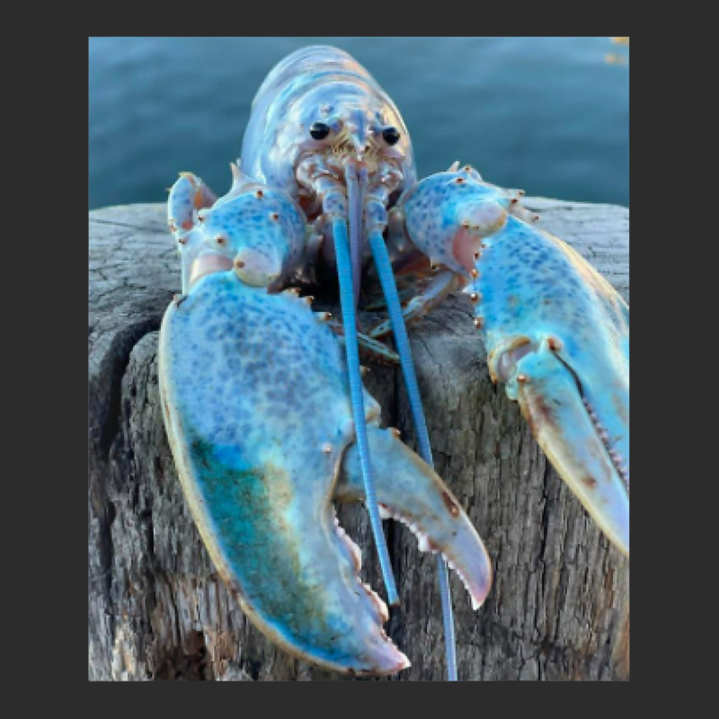 Funny Jumpscare Lobster Meme Blue Crustacean T Shi Exclusive T-shirt | Artistshot