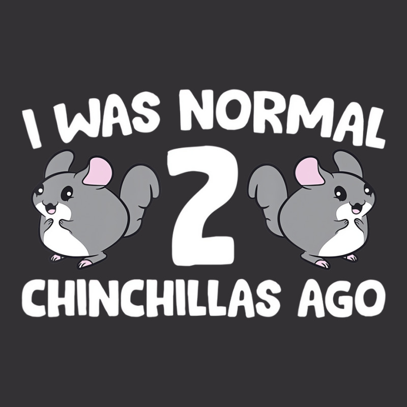 Chinchilla Pet Owner I Was Normal 2 Chinchillas Ag Vintage Hoodie | Artistshot