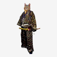 Cat Samurai Bakeneko 怪猫 Full Set Car Mats | Artistshot