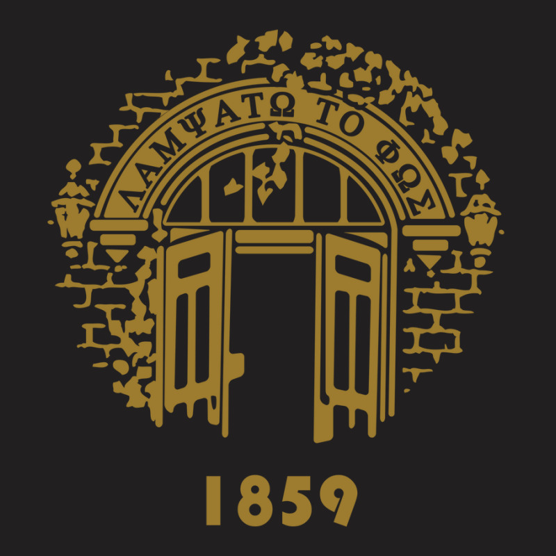 University In United States T-Shirt by tonyleo | Artistshot