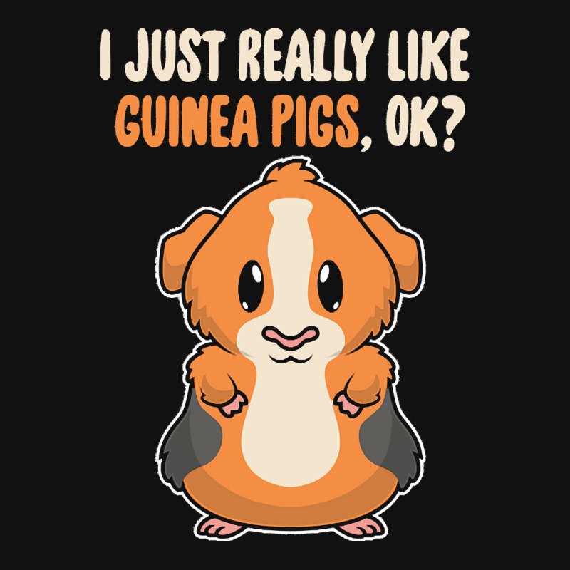 I Just Really Like T  Shirt I Just Really Like Guinea Pigs O K Baby Bibs | Artistshot