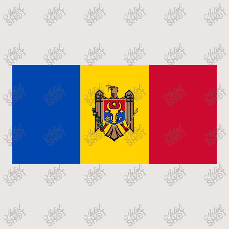 Moldova Classic Pocket T-shirt | Artistshot