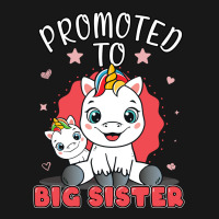 Promoted To Big Sister Unicorn Future Sister To Be Flannel Shirt | Artistshot