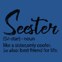 Seester Definition Funny Sister Best Friend For Li Ladies Fitted T-shirt | Artistshot