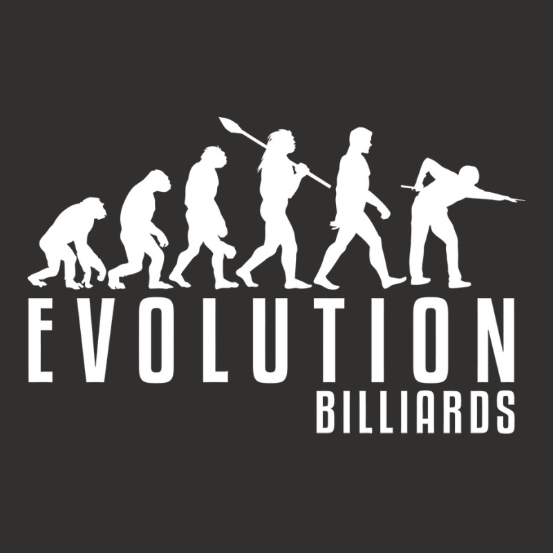 Billiards Evolution (1) Champion Hoodie | Artistshot